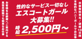 2980円の男性求人